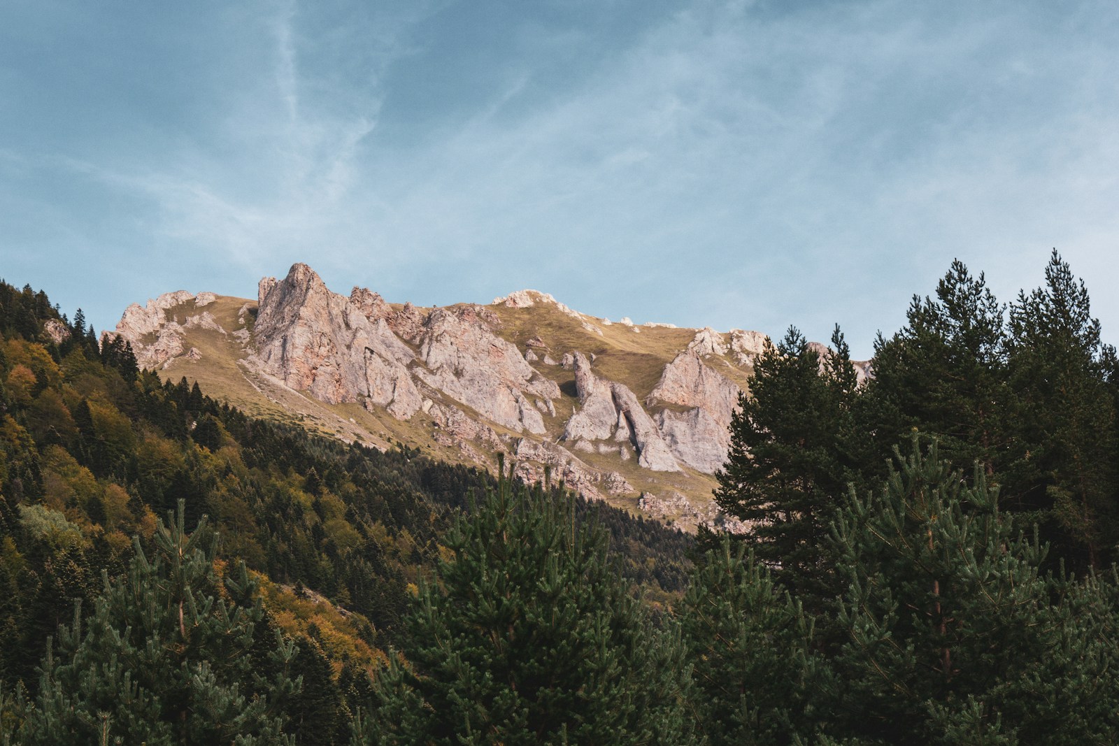 a rocky mountain with trees