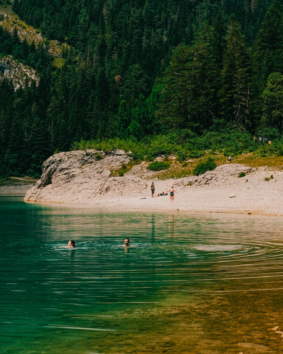 A group of people swimming in a body of water